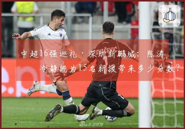 中超16强巡礼·深圳新鹏城：陈涛的冷静能为15名新援带来多少分数？